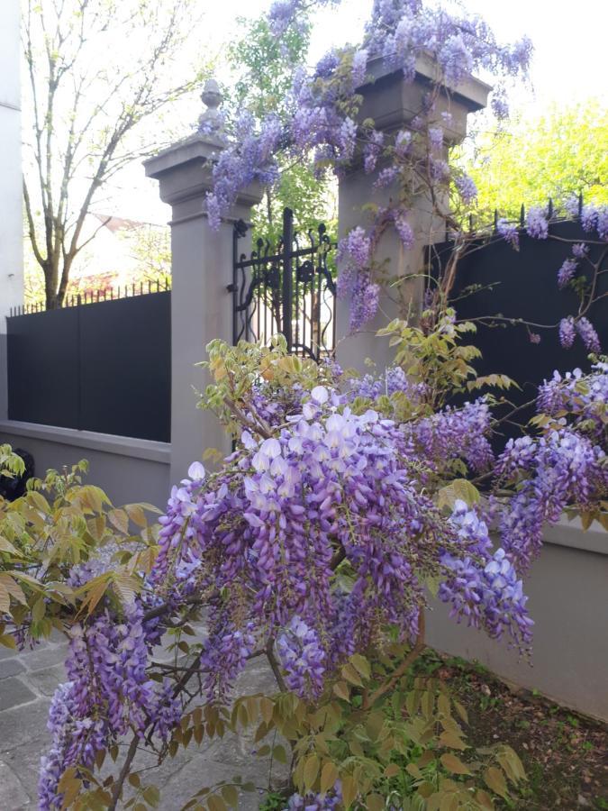 Villa Fiorentino パドヴァ エクステリア 写真