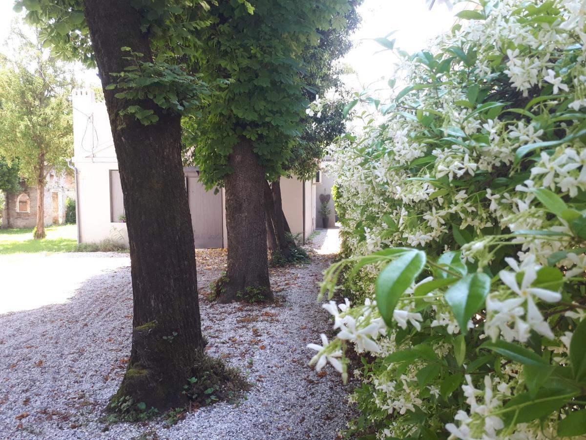 Villa Fiorentino パドヴァ エクステリア 写真