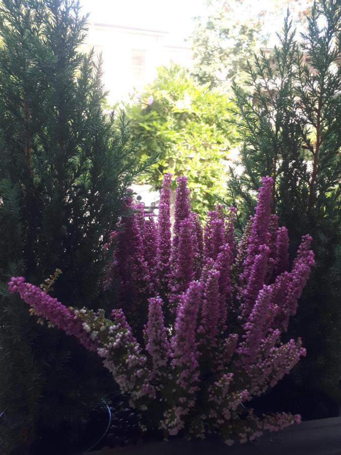 Villa Fiorentino パドヴァ エクステリア 写真